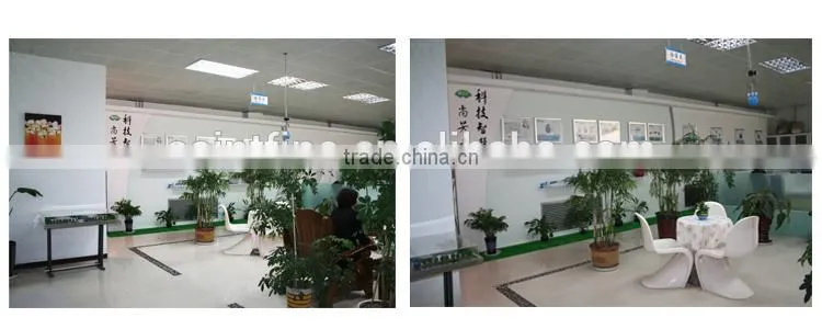 800W Electric Powered fog machine Vaccine ULV Cold Fogger