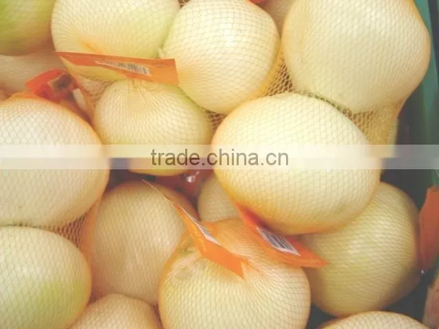 fresh onion
