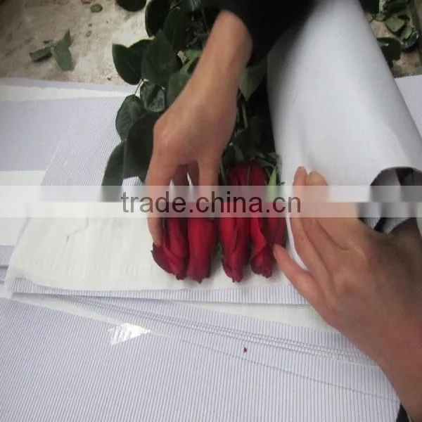 Supply fresh cut flower rose from flower base in Kingming