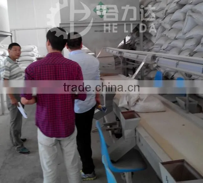 competetive price HLD-10 hot sale seeds product line