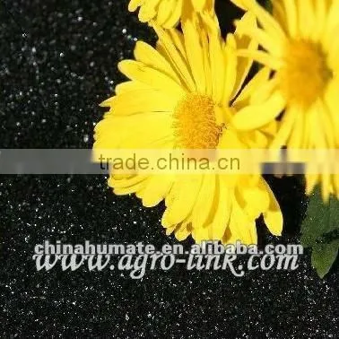 Natural Potassium Humate Fertilizer