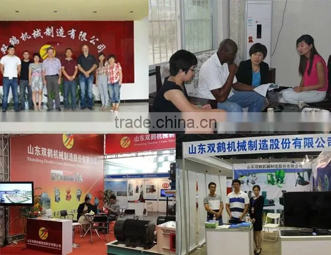 Good performance tree branch waste wood stalks pellet mill machine