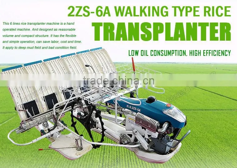 Hand Rice Planters Customizable Manual Seed Planter agricultural equipment 2ZS-6A