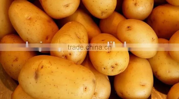 Potato chips production line for snack Machine
