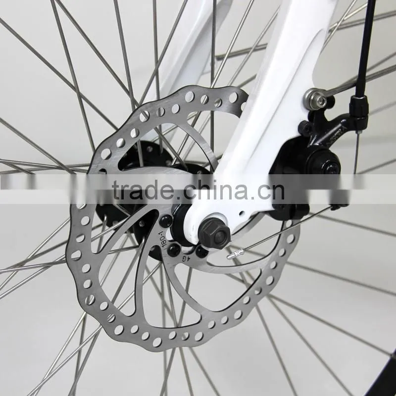 2016 New 250W electric bike for sale (EL05)