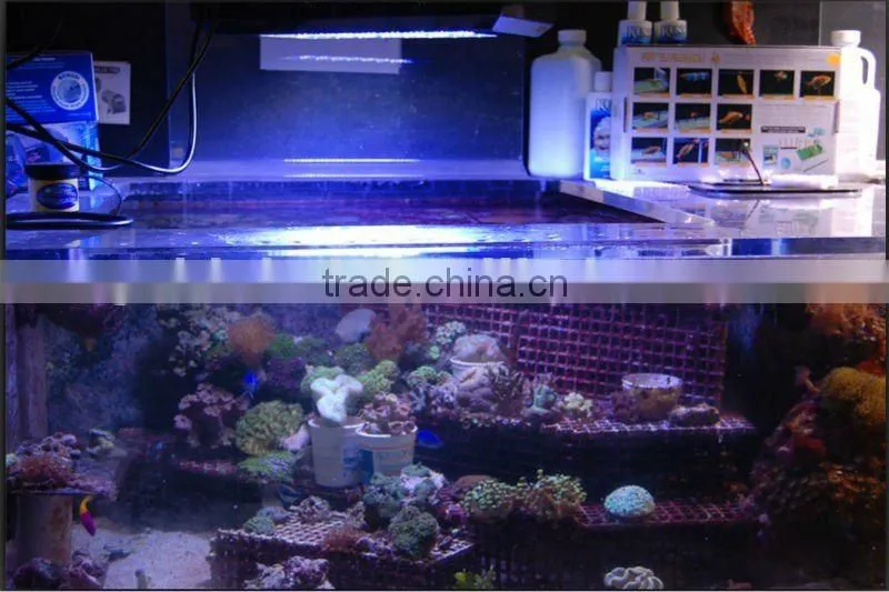 marine aquarium LED lighting