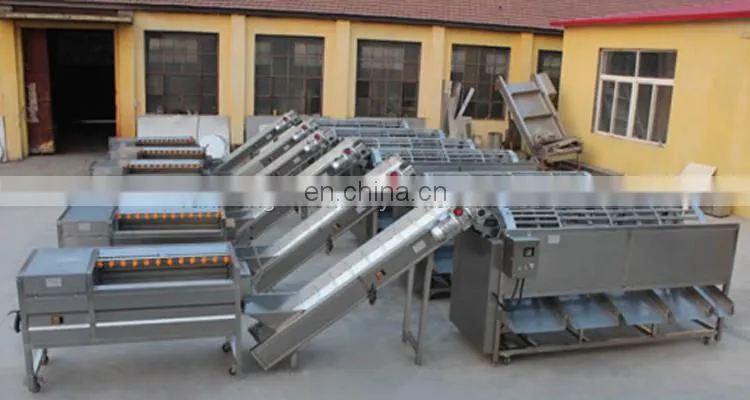 vegetable and fruit avocado garlic tomato pomelo pomegranate cherry washing grading sorting machine