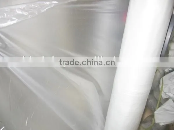 Mulch film for plant