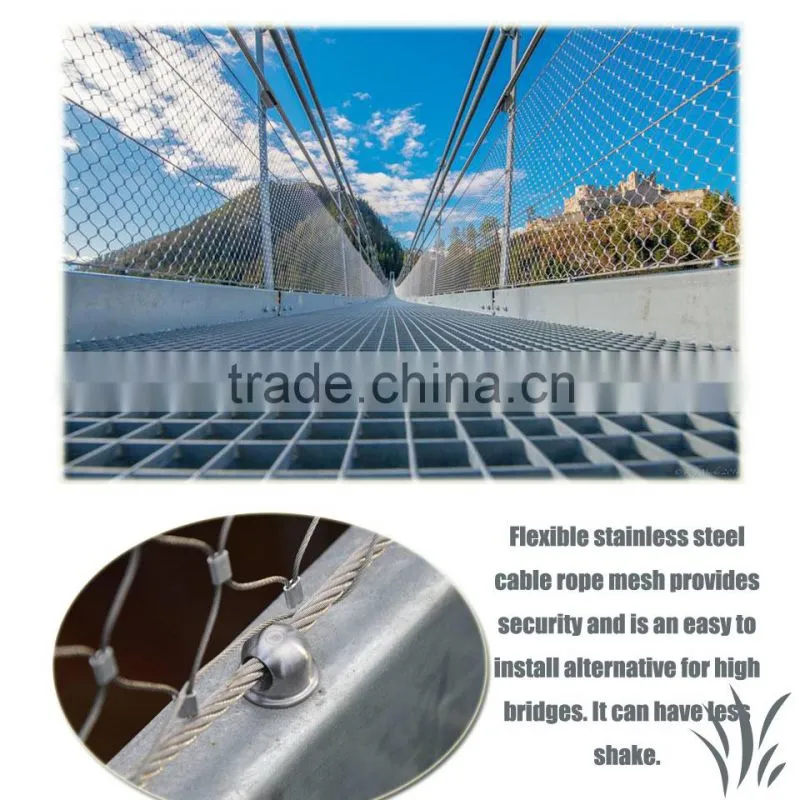 Hebei Shuolong ISO Manufactory export stainless steel wire mesh / mesh fabric