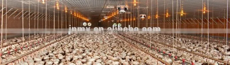 For poultry farm house automatic broiler chicken farm feeder