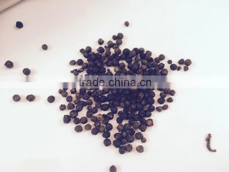 Black Pepper 550 Gr/L