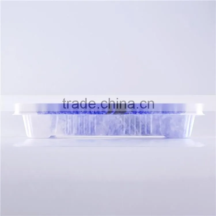 Hot And New Disposable Plastic Sushi Take Out Container
