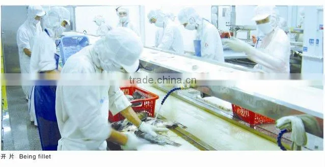 bluk tilapia fish fillet wholesale price 3-5 oz