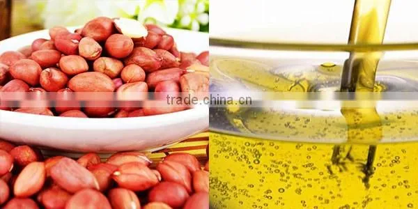 Automatic hot press grandnut oil mashine