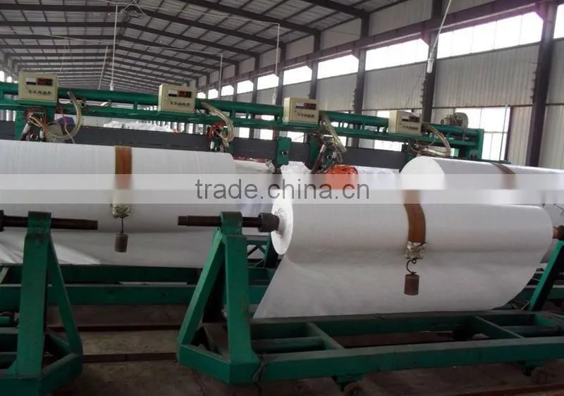 Blue/Silver PP Plastic Laminating Tarps Sheets Tarpaulin Plastic Sheet with All Specifications China Manufacturing