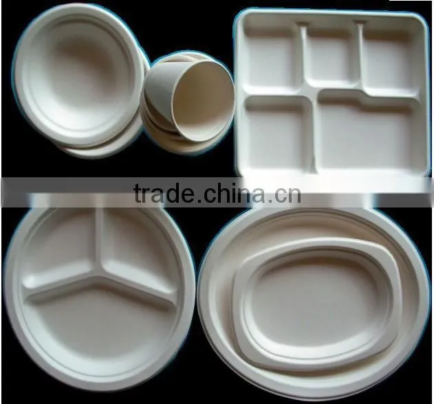 High Quality Eco-Friendly Sugarcane Tableware for Sale
