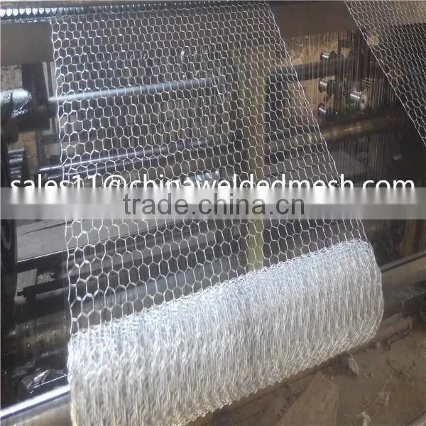 Best Price Hexagonal Mesh from Anping factory