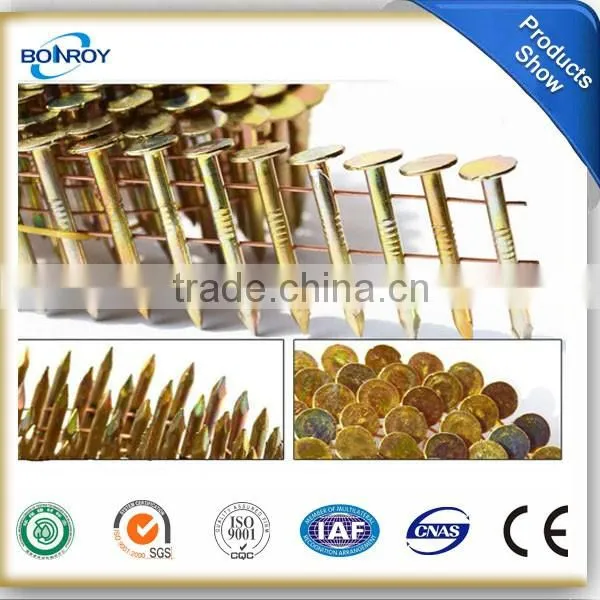 coil nail