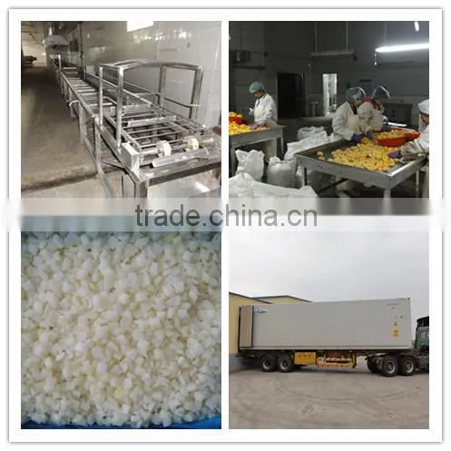 Supply IQF Onion Sliced with best price
