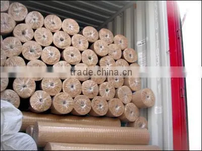 High-Quality Welded Wire Mesh Hot dipped Galvanized Welded Wire Mesh Roll