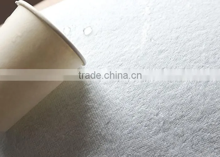 Waterproof bamboo terry cloth pillow case wholesale / protector cover
