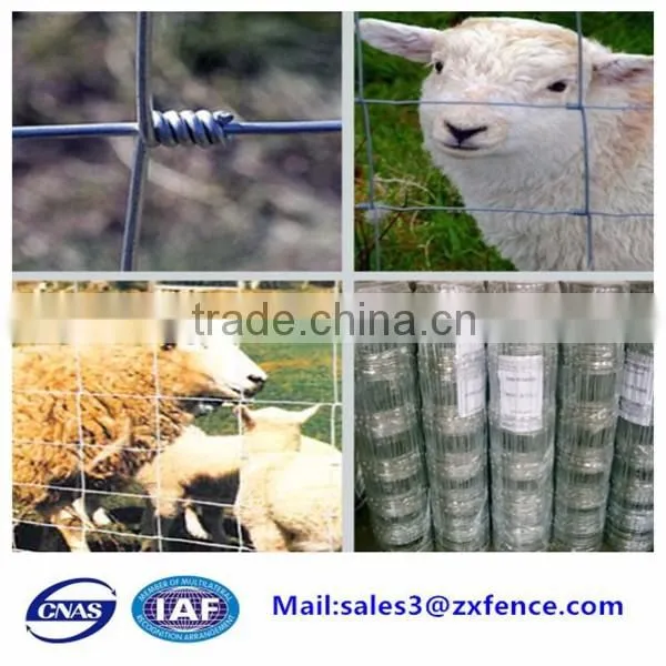 Factory direct cheap heavy duty sheep fence,horse fence,cattle fence