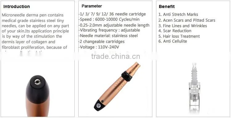2016 Professional Auto Vibration Electric Skin Rejuventation Derma pen With Needle Cartridges