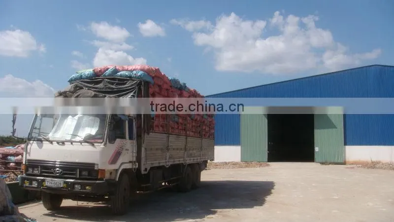 Tapioca chips