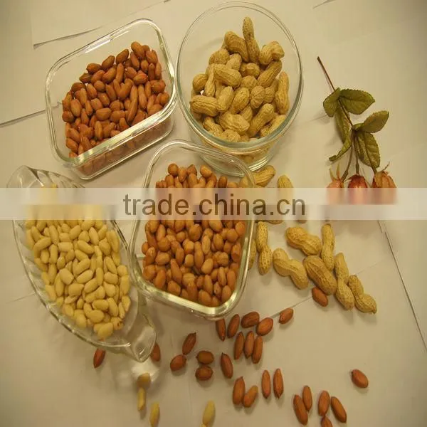 Red peanut kernel new season