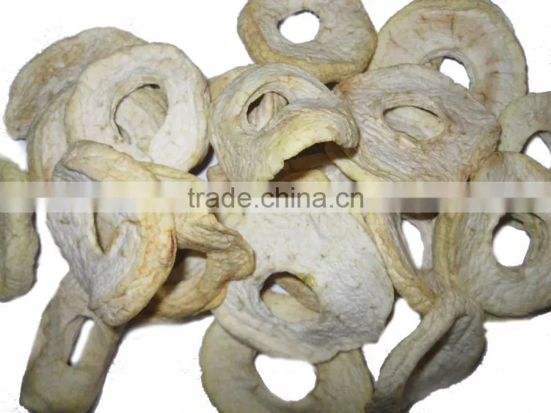 exotic dried fruits apple rings
