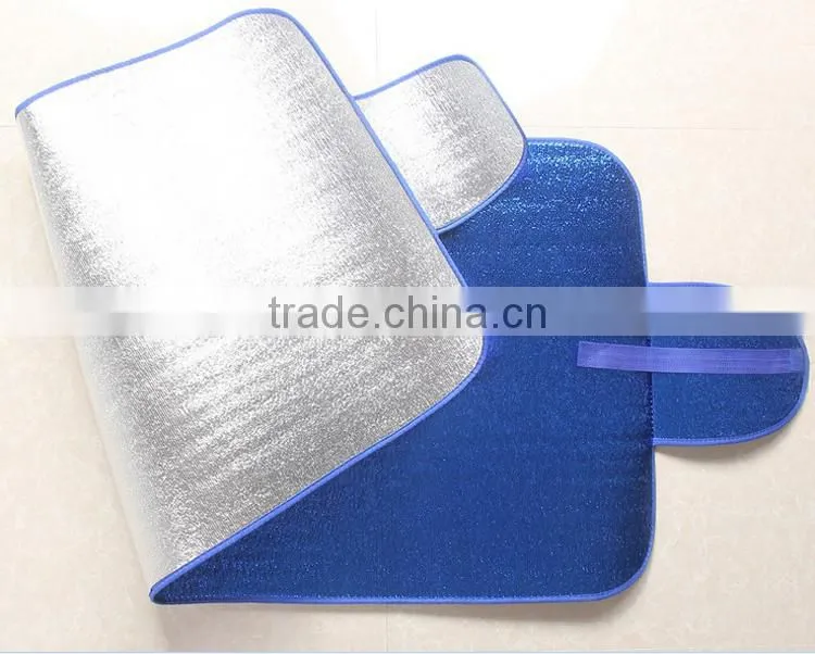 Car Windshield snow protector