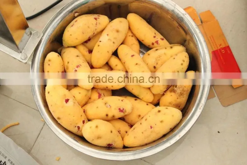 GL-380 Full Automatic Potato Vegetable and Fruit Washing and Peeling Machine