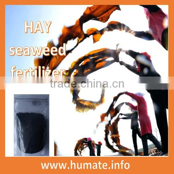 chitosan cas 9012-76-4 chitin chitosan