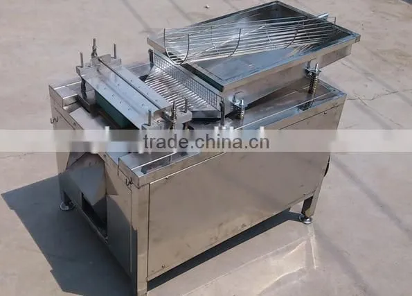 Best quality Various Stainless Steel 304 automatic quail egg peeler machine