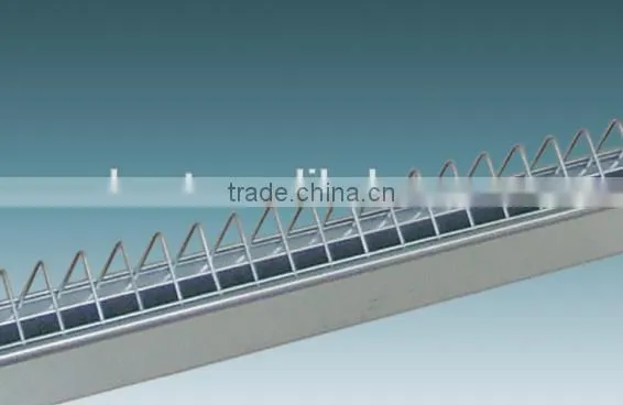 Breeder Chicken Chain Feeding System