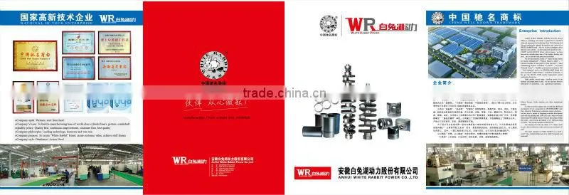 Diesel engine Qiyang R175A Valve guide