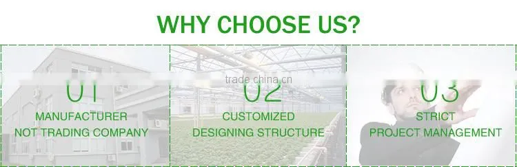 Commercial Greenhouse for sale Single span greenhouse