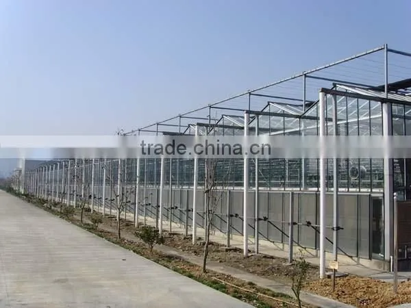 Cheap Invernadero Greenhouse