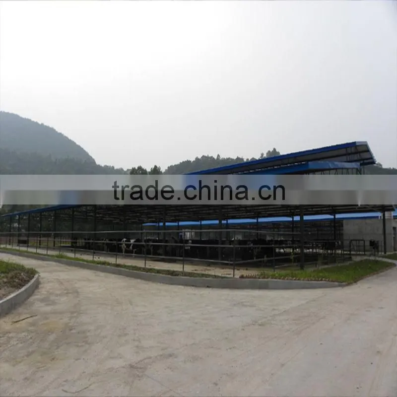 Prefab Steel Livestock Farm