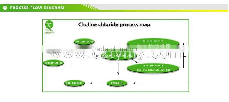 Feed additive choline chloride 70% 75% 98% for animals