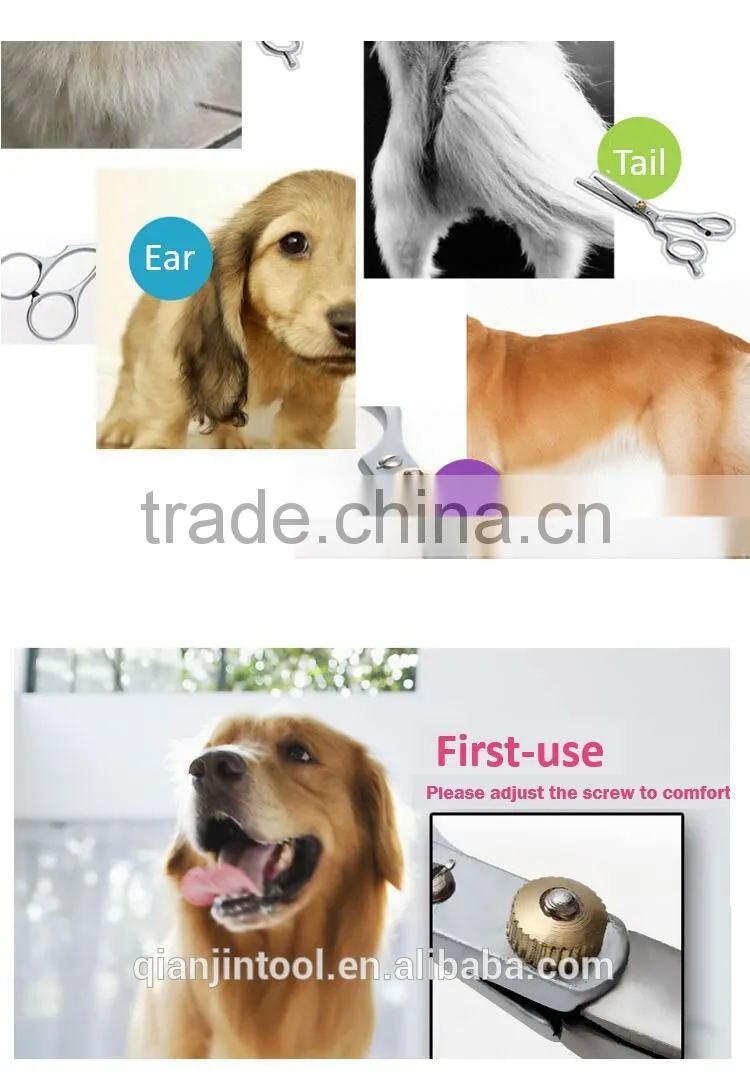 economic pet grooming scissors Multi color dog scissors
