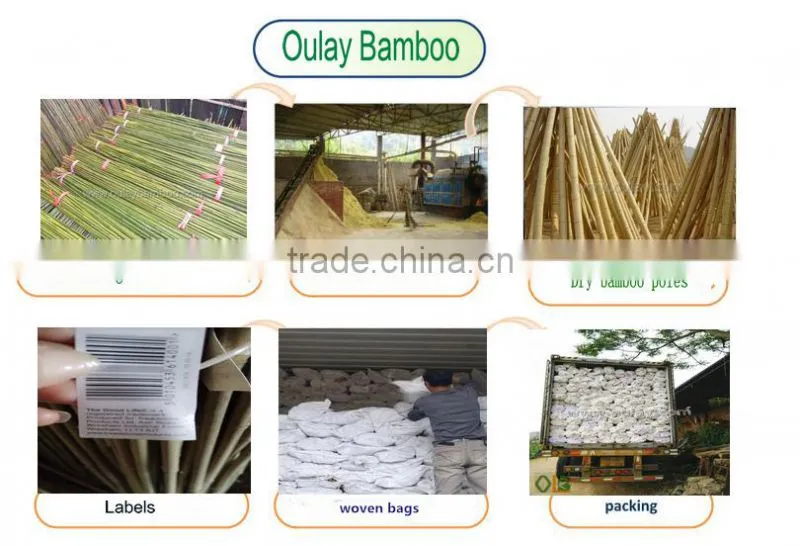 Mini Foldable Bamboo Fences/Bamboo Screens