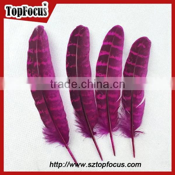 reeves cheap Natural Pheasant Tail Pheasant Feather for sale