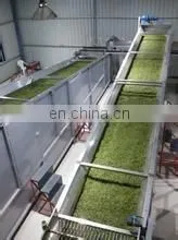 Tea leaf processing machine / tea steamer /tea steaming machine
