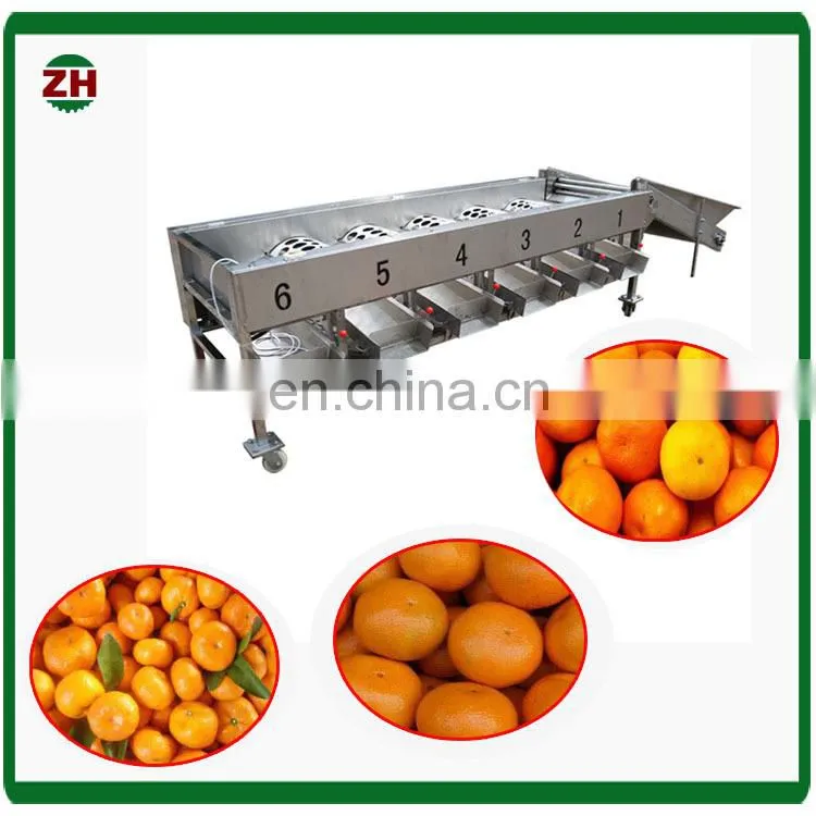 High effective blueberry fruit selecting machine blueberry fruit grading machine