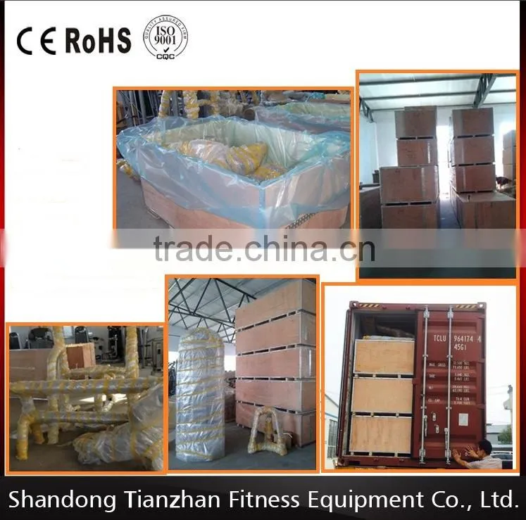 Gym equipment/Fitness equipment Pectoral Fly TZ-6007