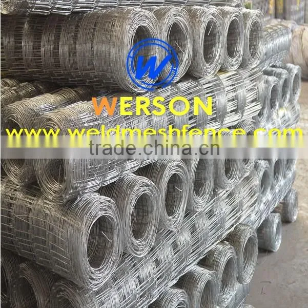 hot dipped galvanized Hinge Joint Fencing Wire| werson fence