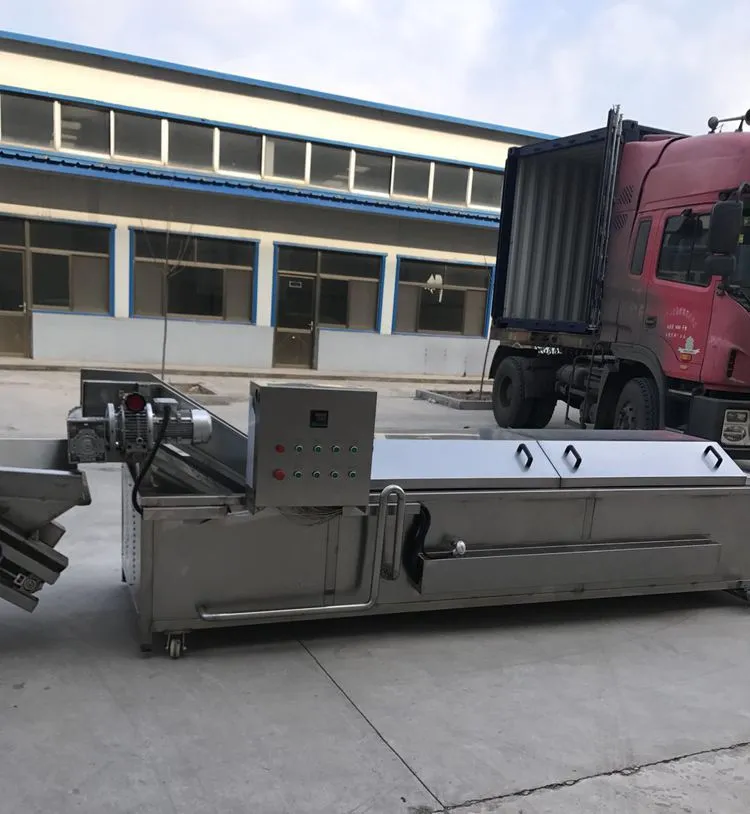 Vegetable Washing Cleaning and Rushing Machine