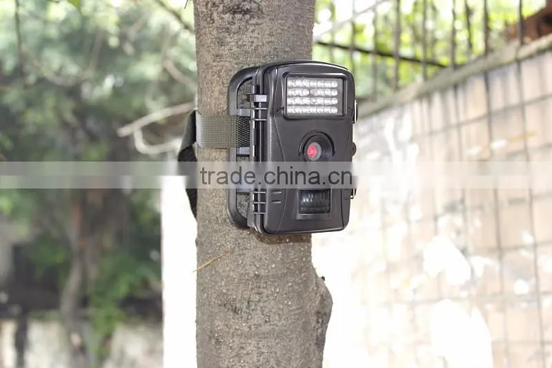WT1003 Hunting Night Vision Mini Trail Camera