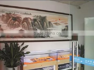 Shenzhen Sihanming Technology Co., Ltd. company overview - view 1